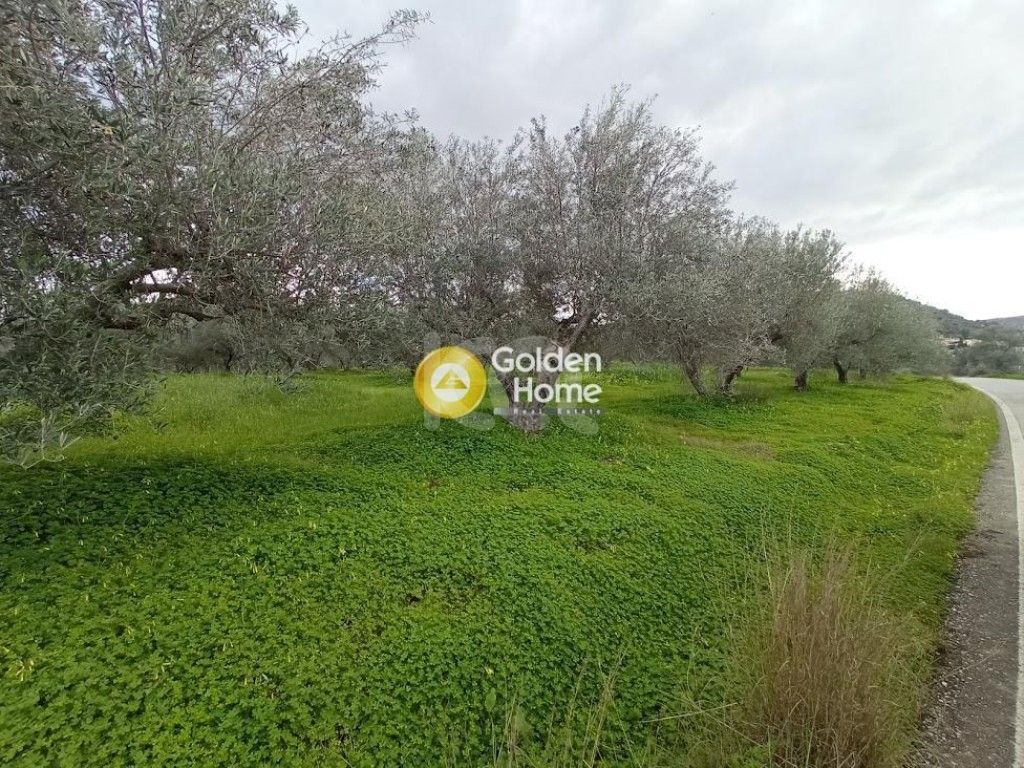 εικόνα αγγελίας