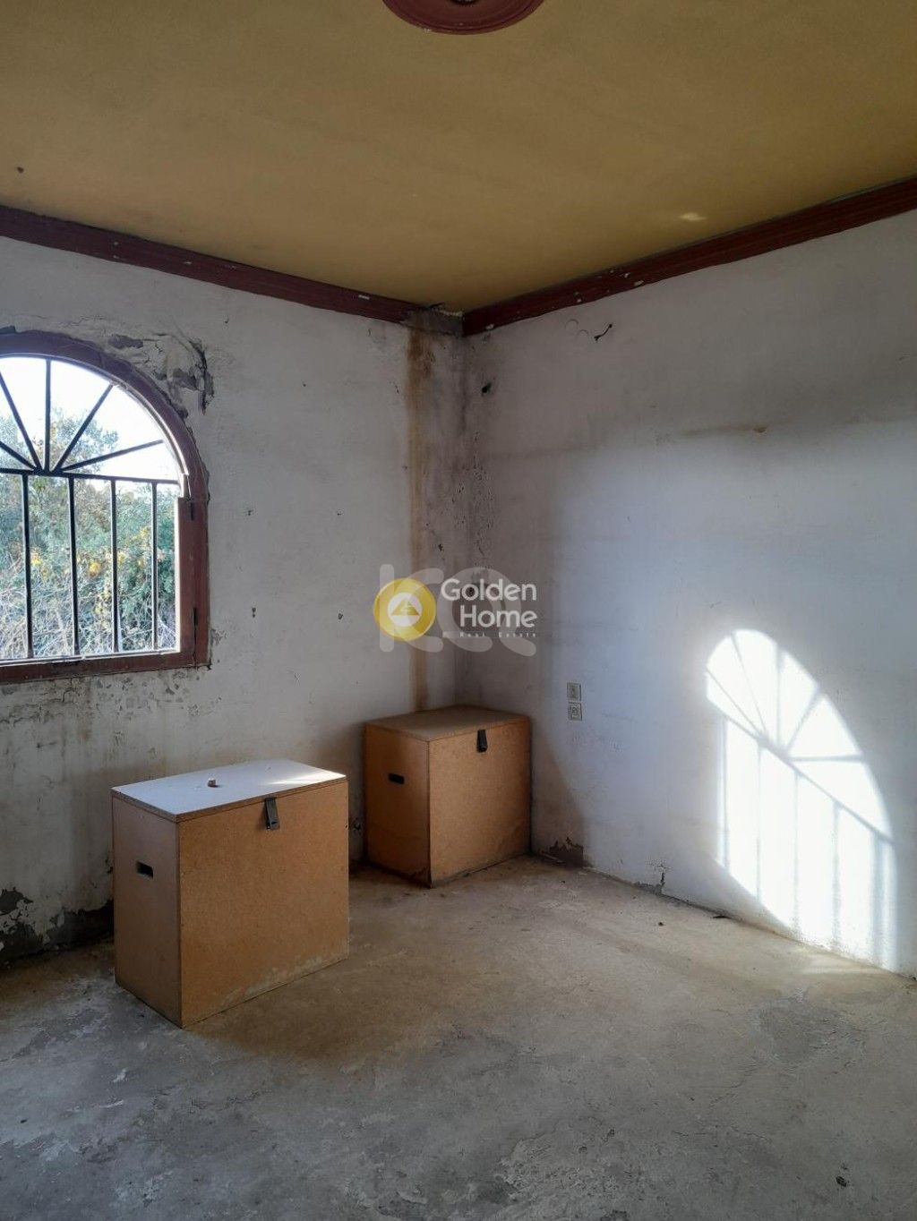 εικόνα αγγελίας