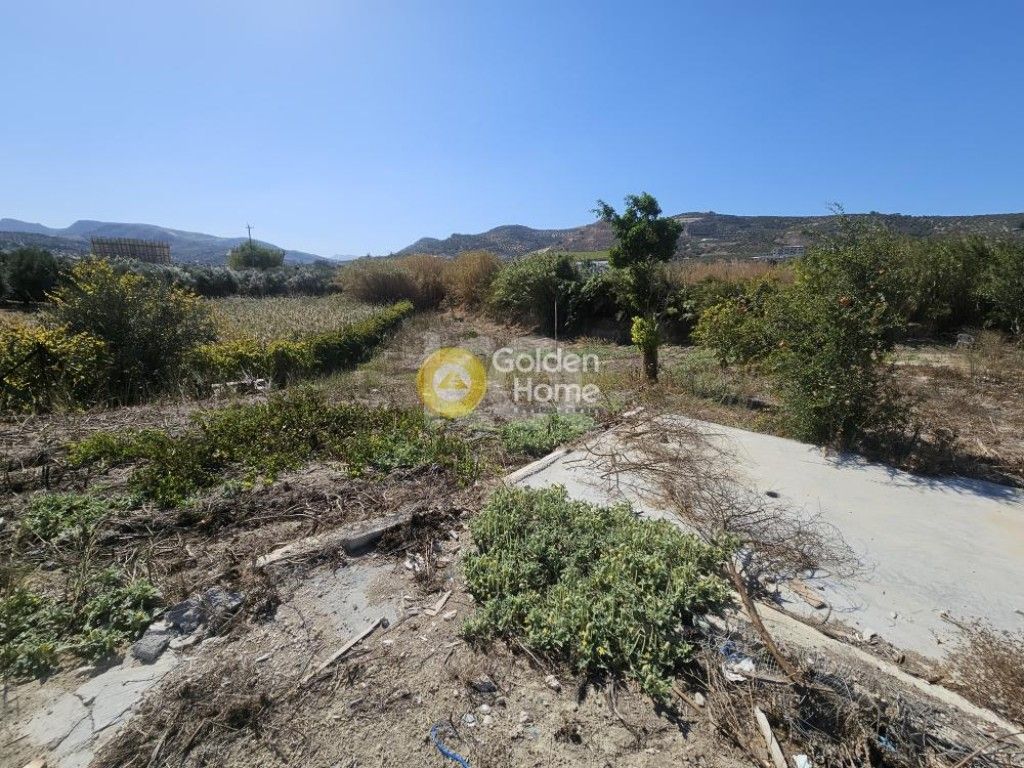 εικόνα αγγελίας