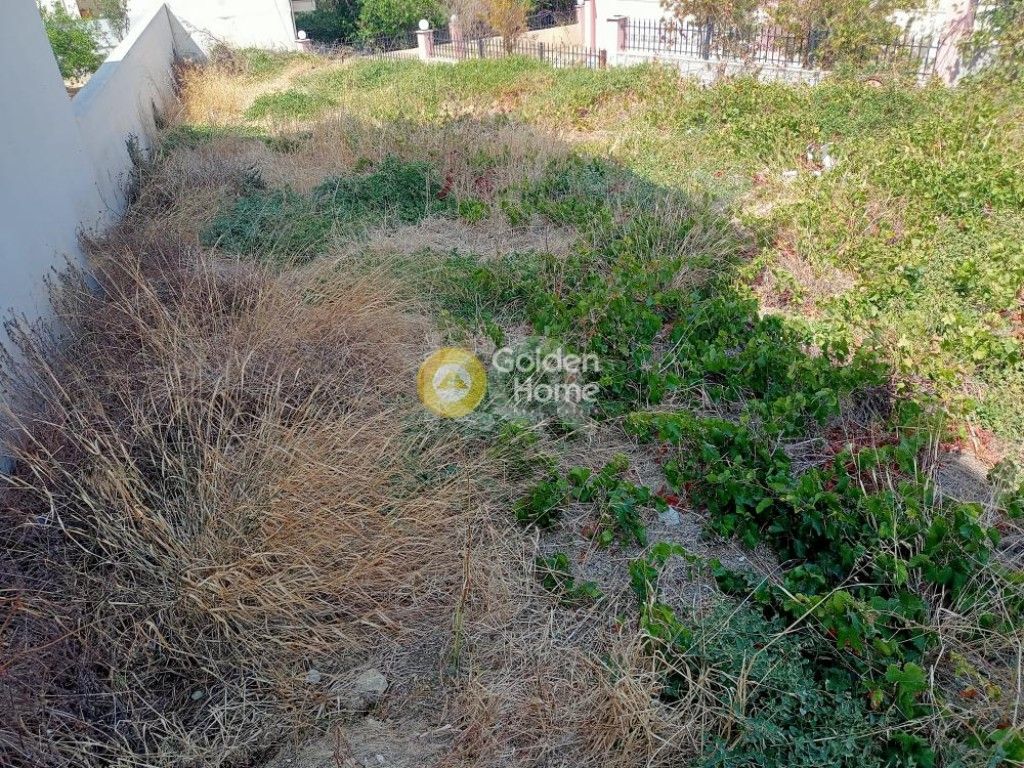 εικόνα αγγελίας