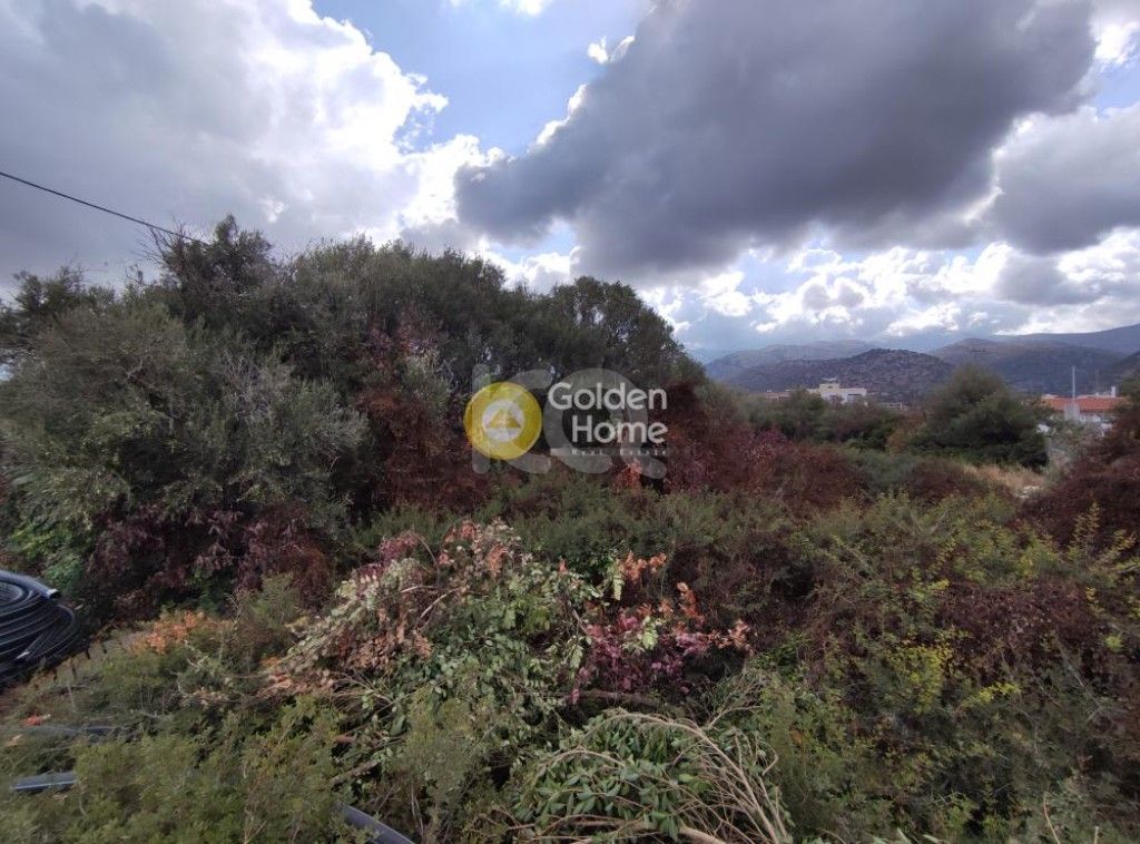 εικόνα αγγελίας