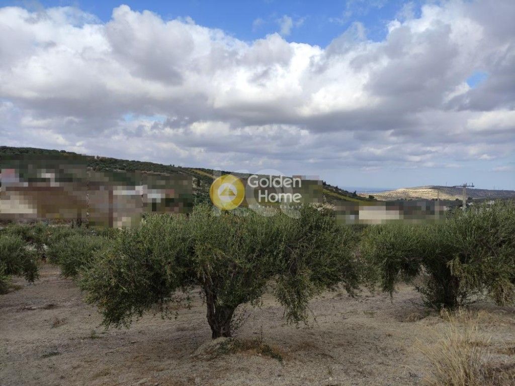 εικόνα αγγελίας