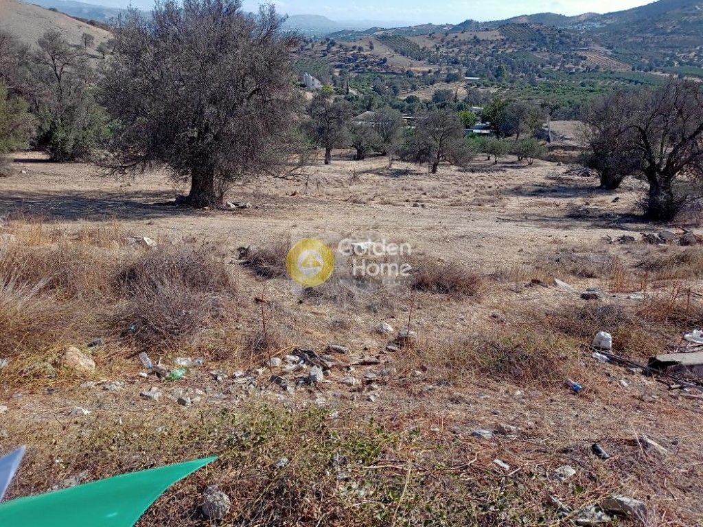 εικόνα αγγελίας