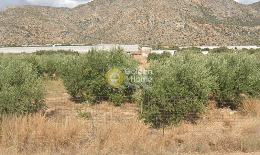 εικόνα αγγελίας