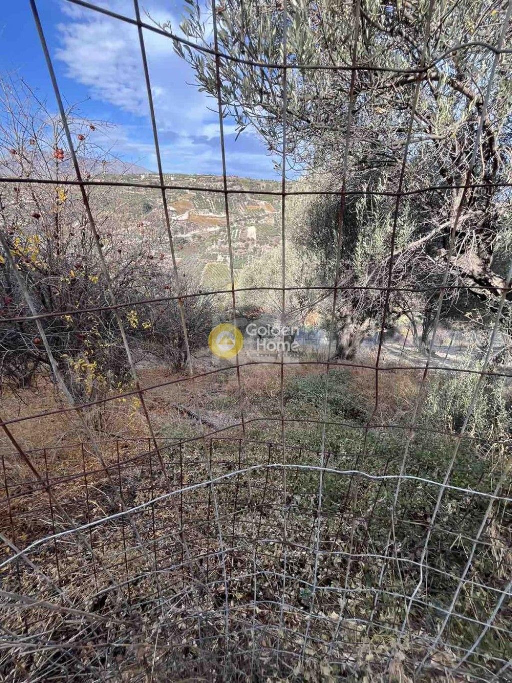 εικόνα αγγελίας