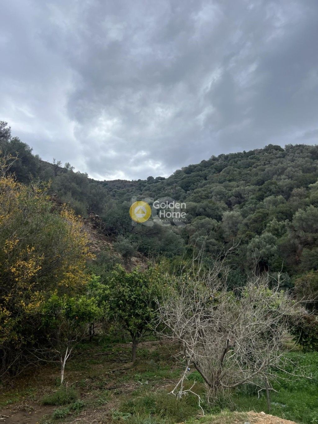 εικόνα αγγελίας