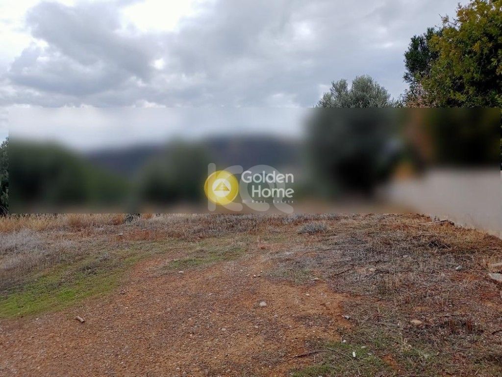 εικόνα αγγελίας