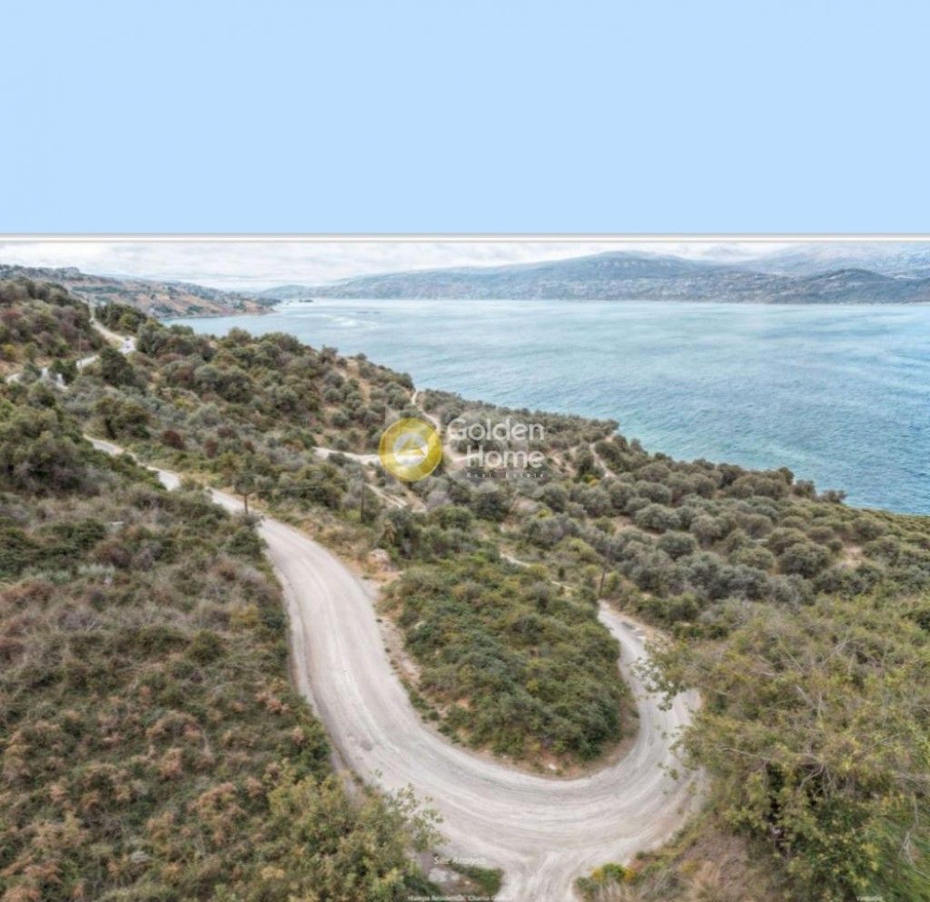 εικόνα αγγελίας