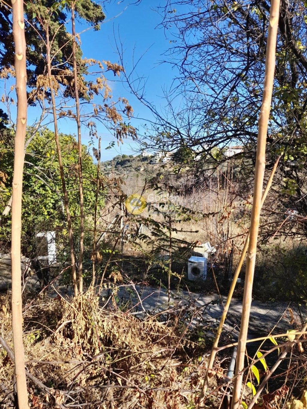 εικόνα αγγελίας