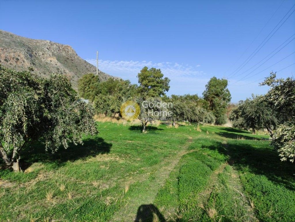 εικόνα αγγελίας