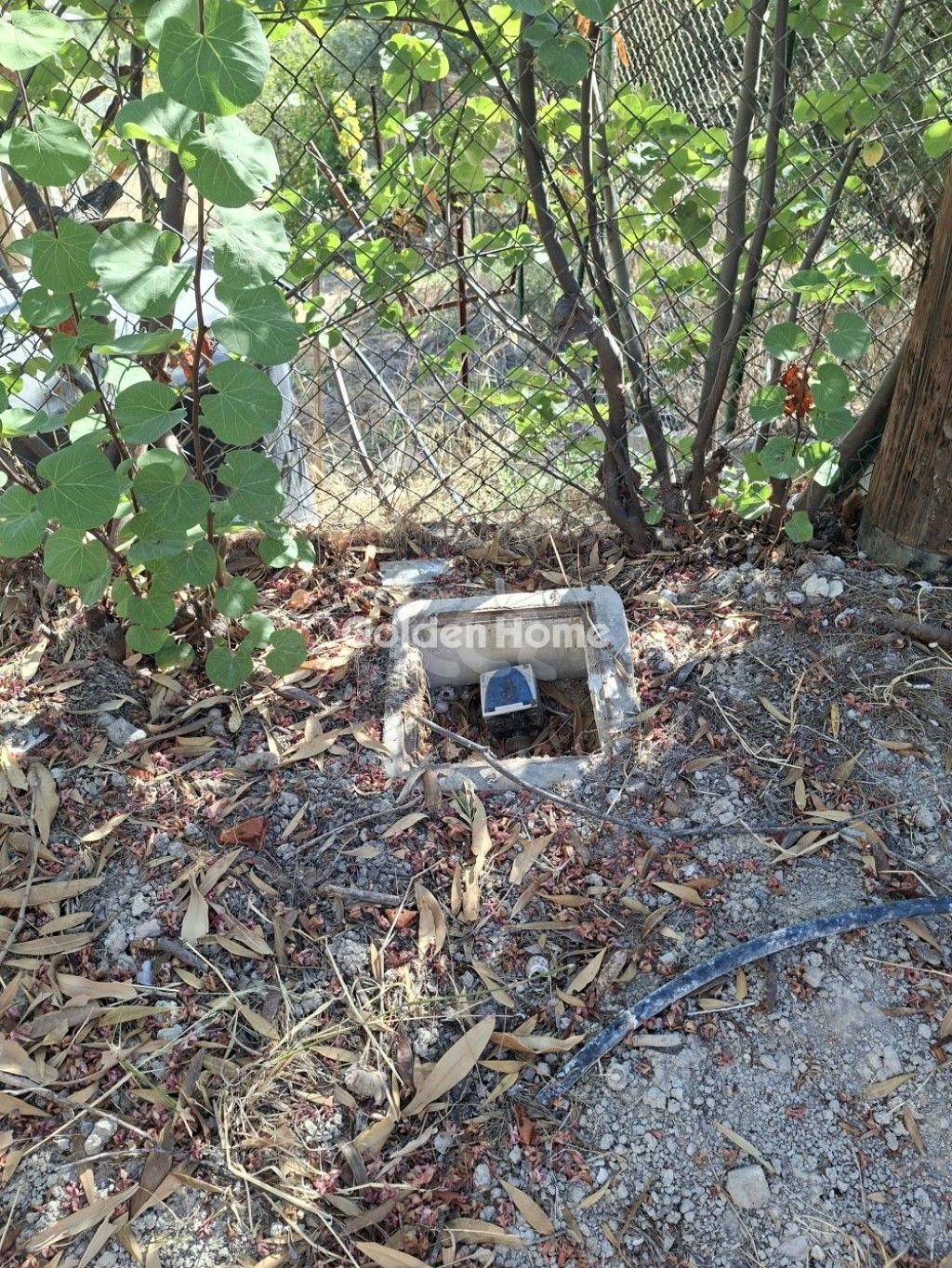 εικόνα αγγελίας