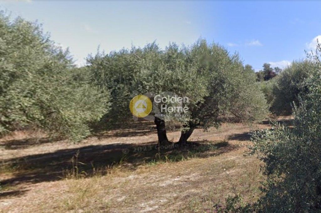 εικόνα αγγελίας