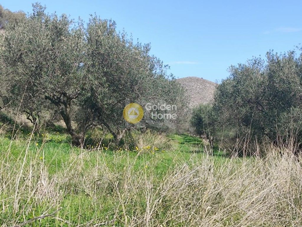 εικόνα αγγελίας