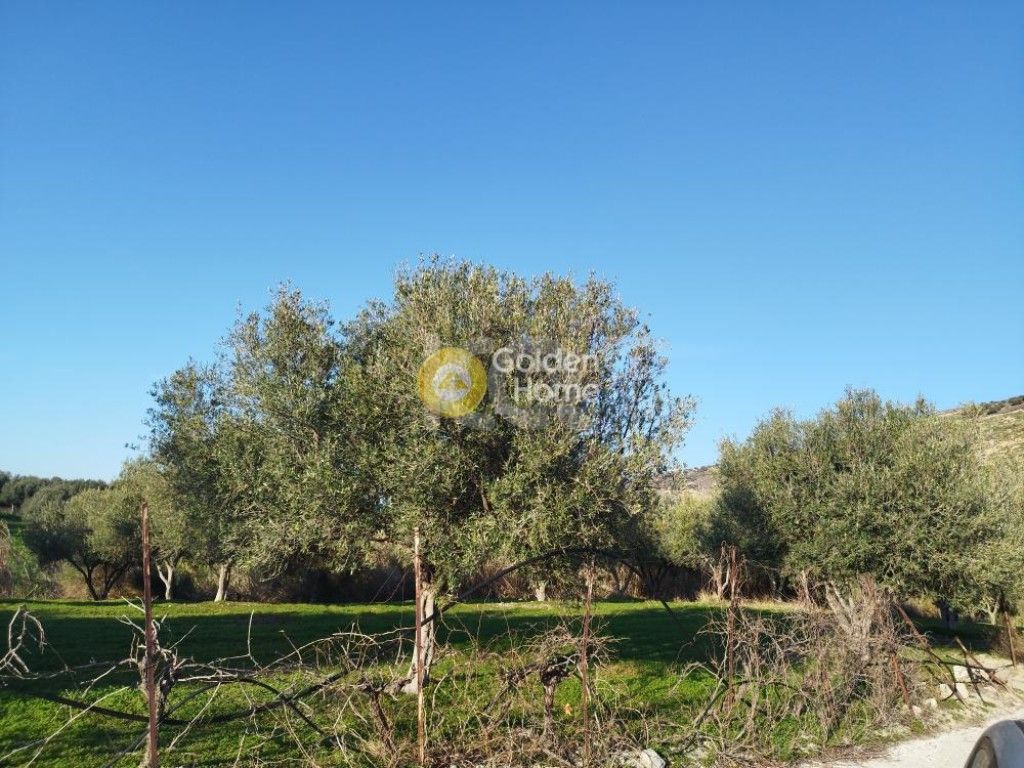 εικόνα αγγελίας