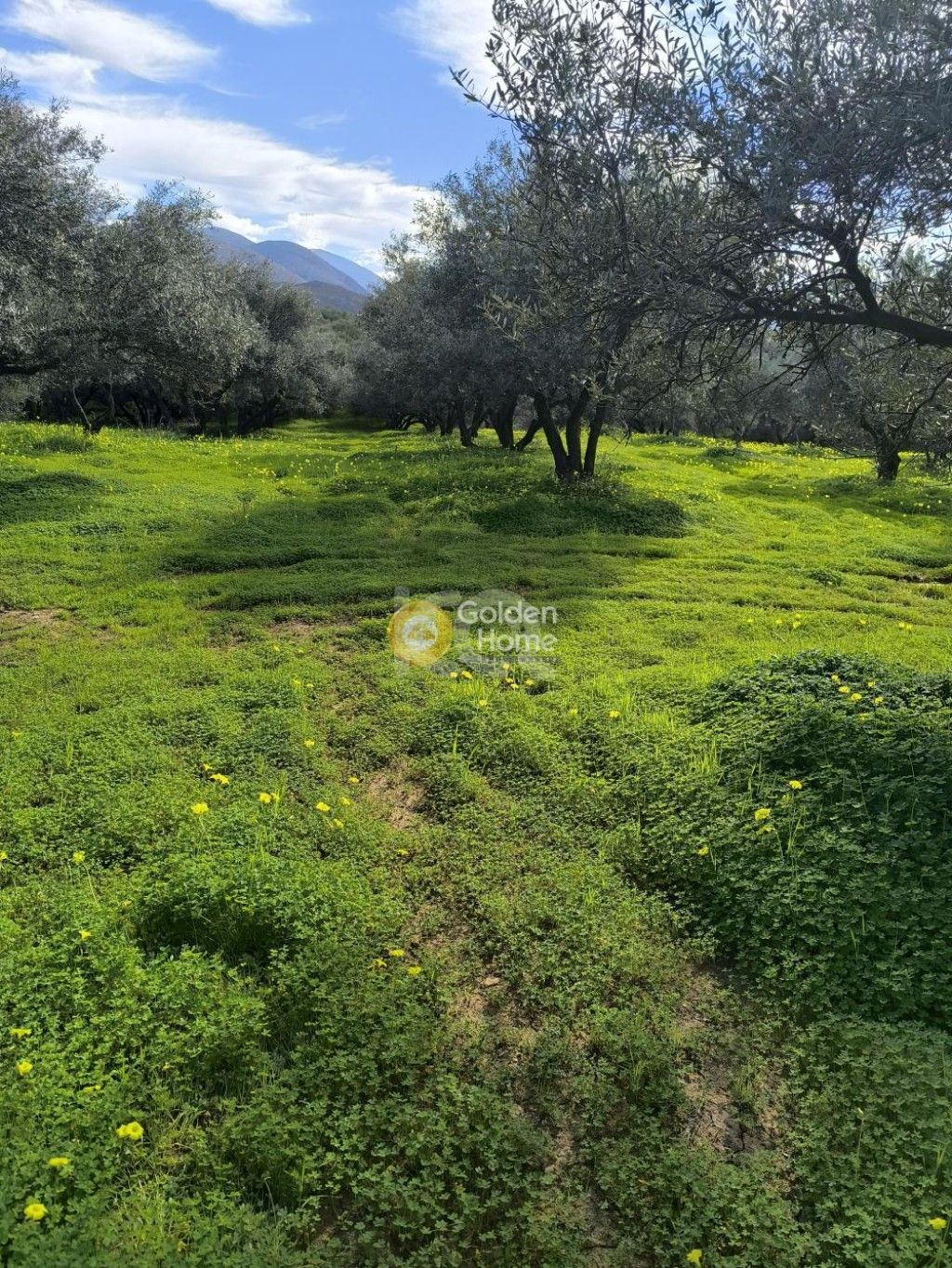 εικόνα αγγελίας