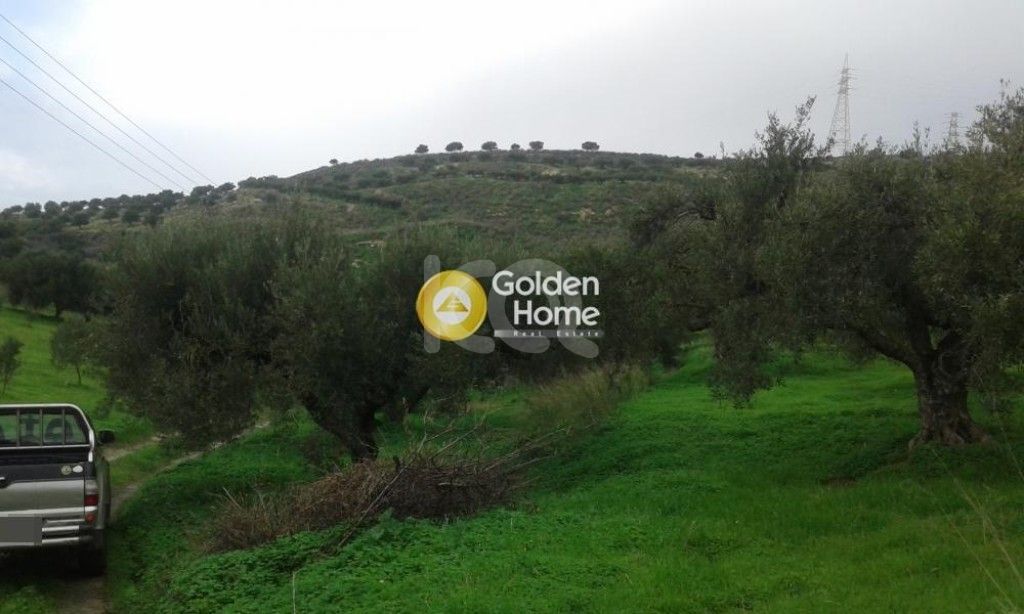 εικόνα αγγελίας