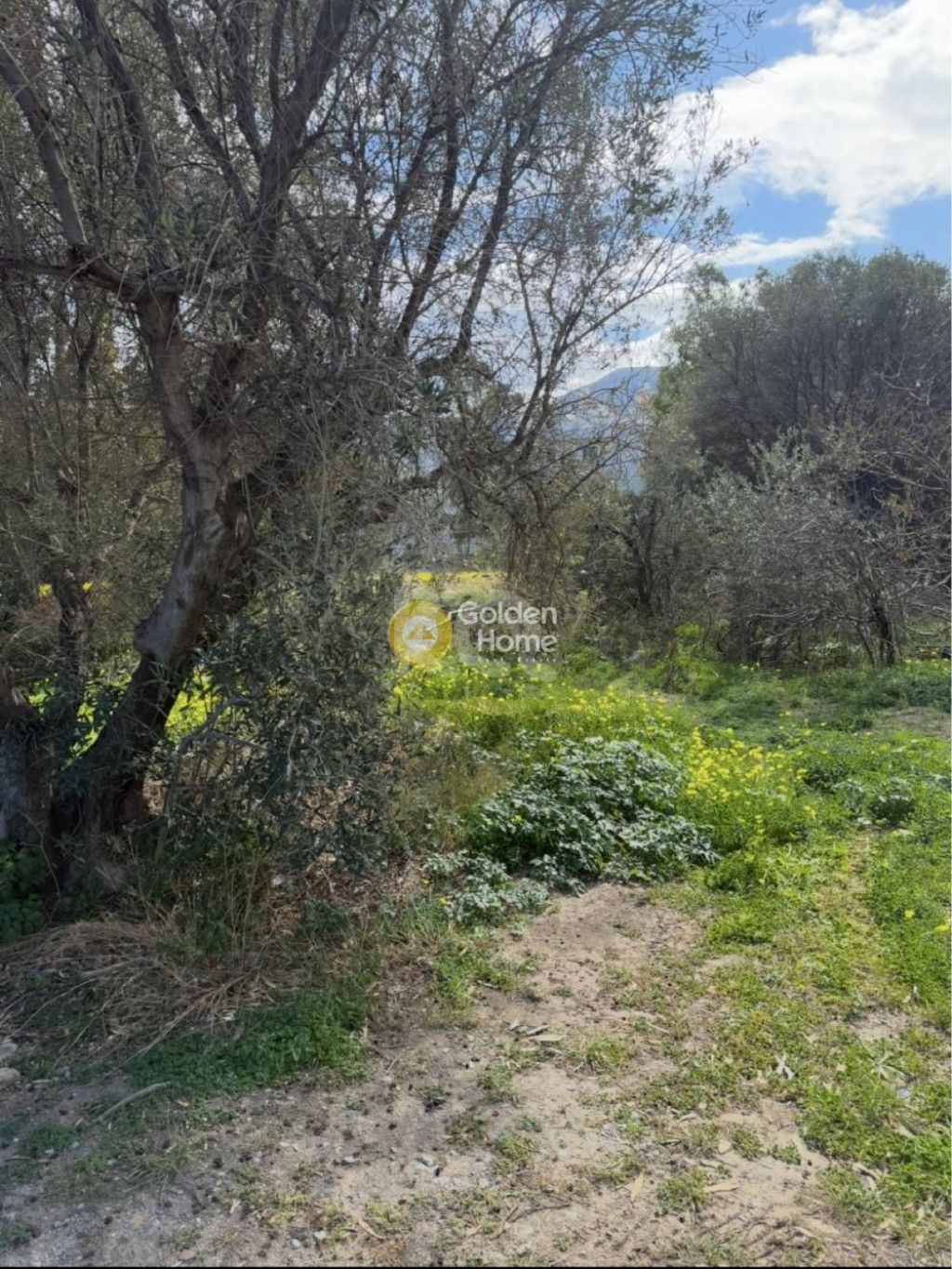 εικόνα αγγελίας