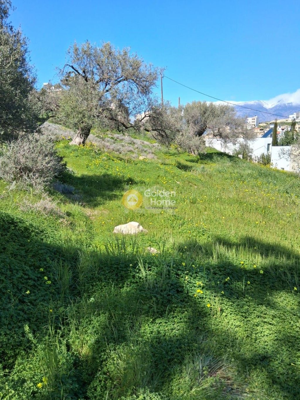 εικόνα αγγελίας