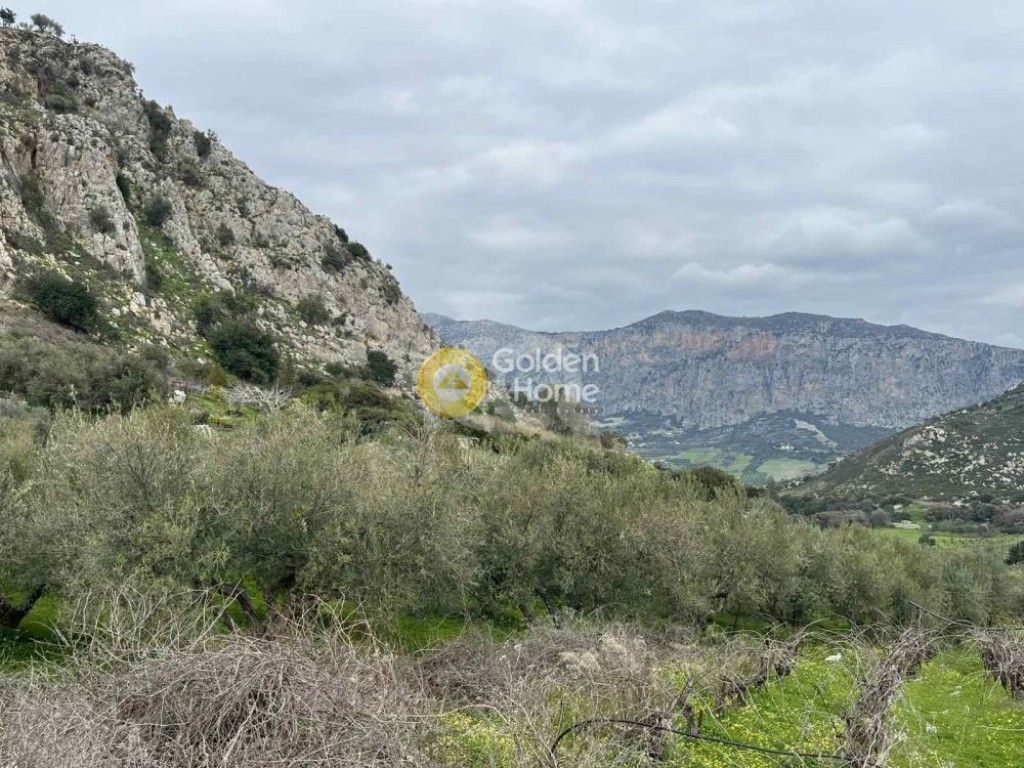 εικόνα αγγελίας