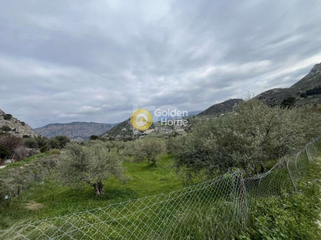 εικόνα αγγελίας