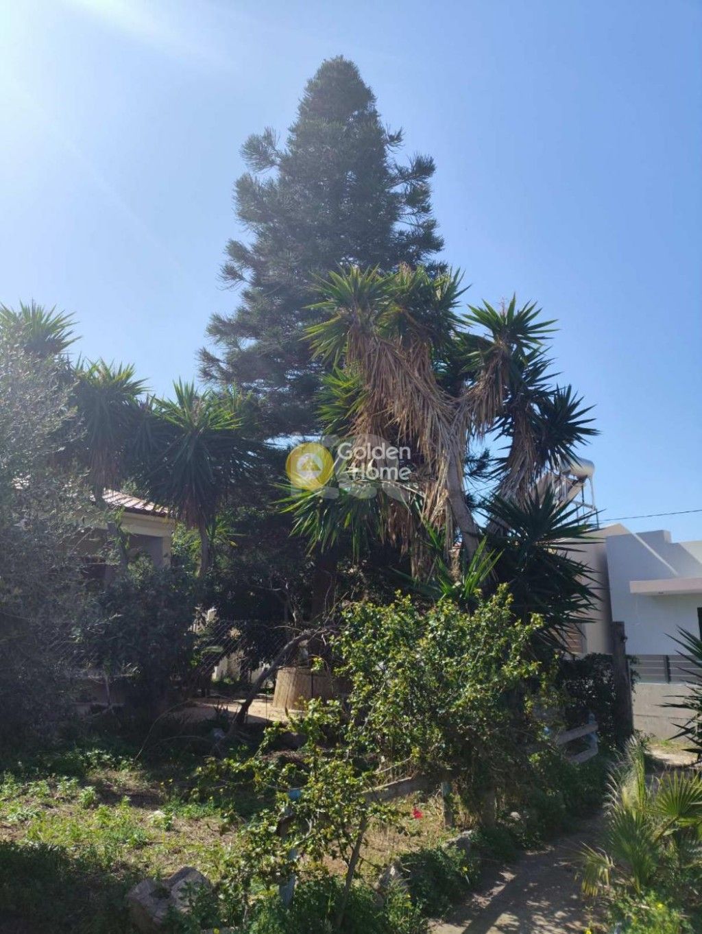 εικόνα αγγελίας