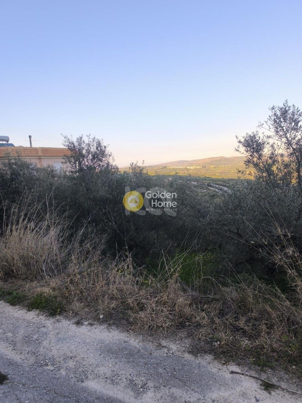 εικόνα αγγελίας