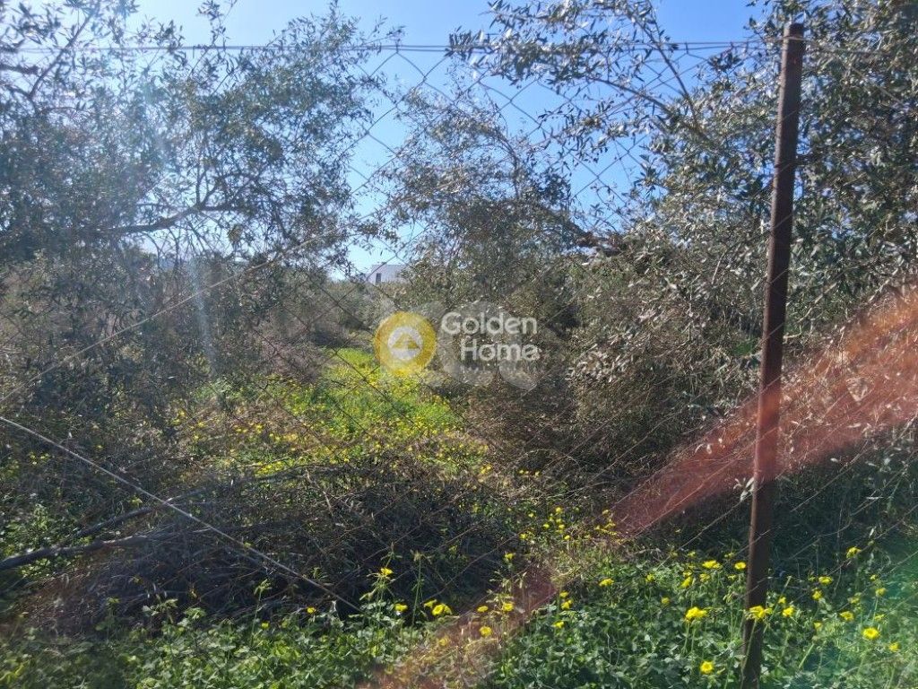 εικόνα αγγελίας