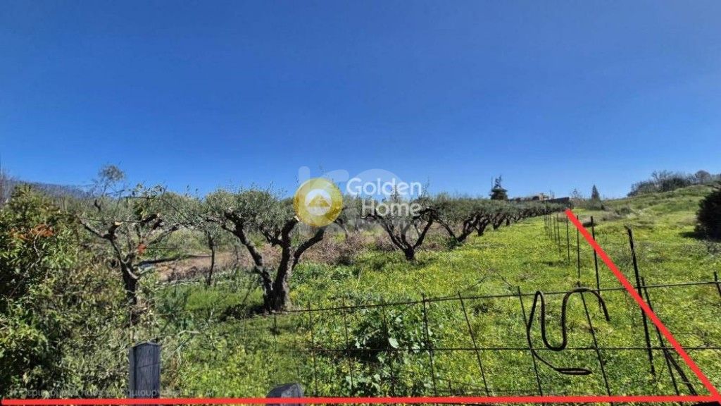 εικόνα αγγελίας