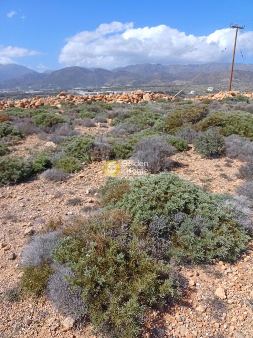 εικόνα αγγελίας