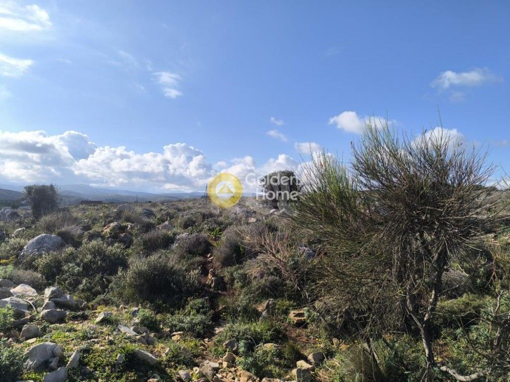 εικόνα αγγελίας