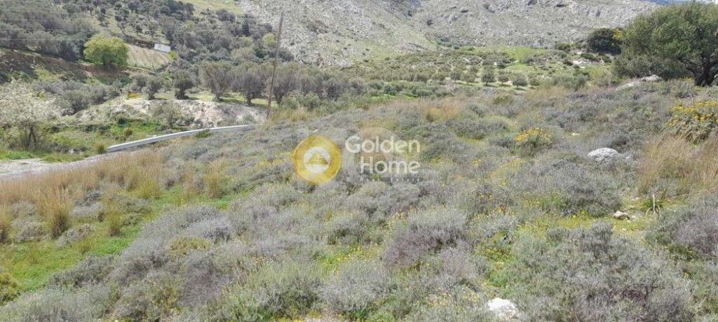 εικόνα αγγελίας