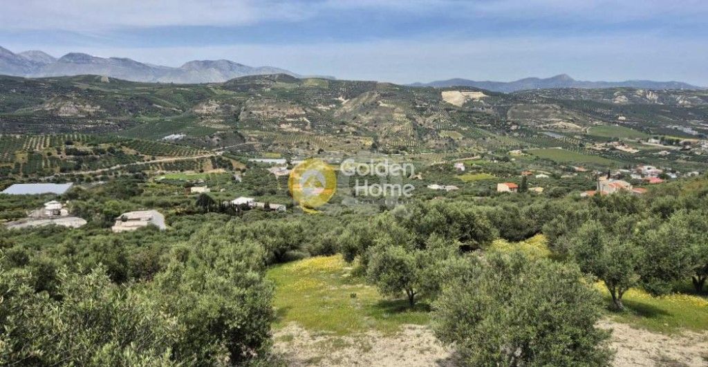 εικόνα αγγελίας