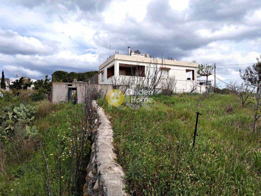 εικόνα αγγελίας