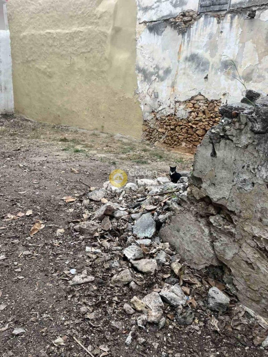 εικόνα αγγελίας