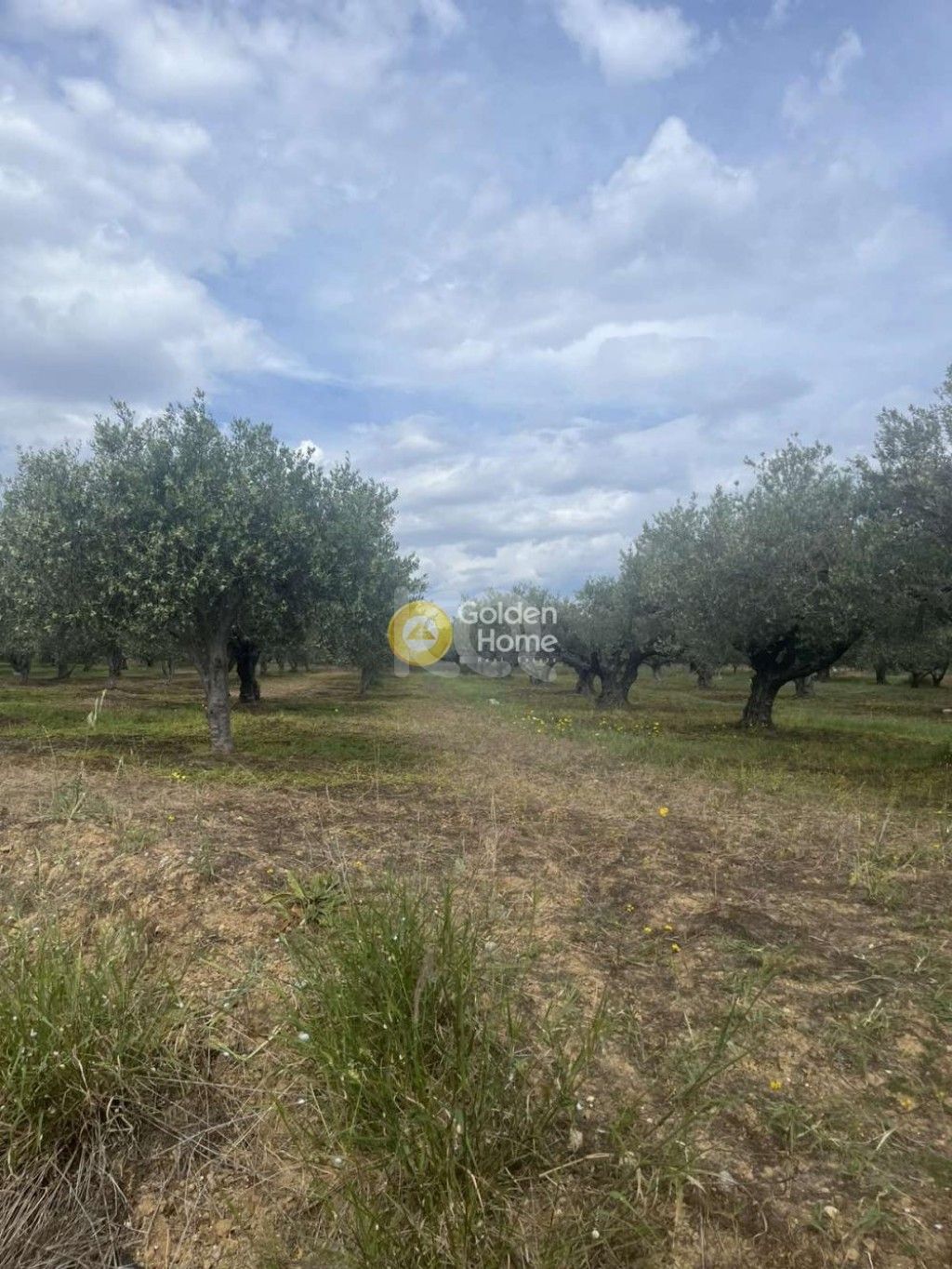 εικόνα αγγελίας