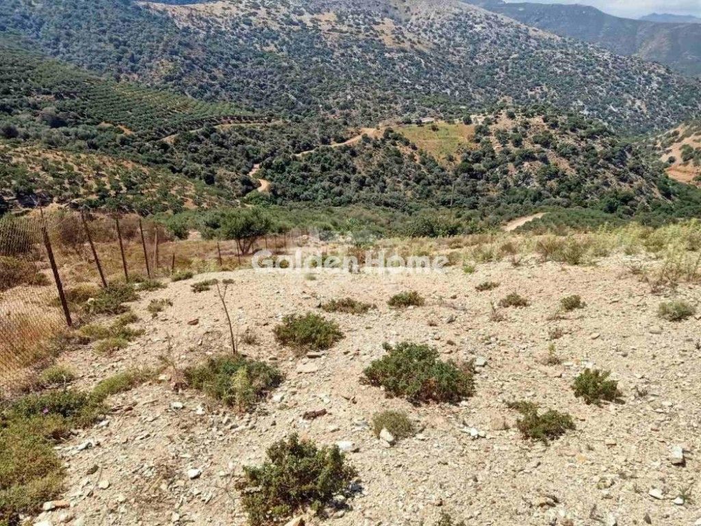 εικόνα αγγελίας