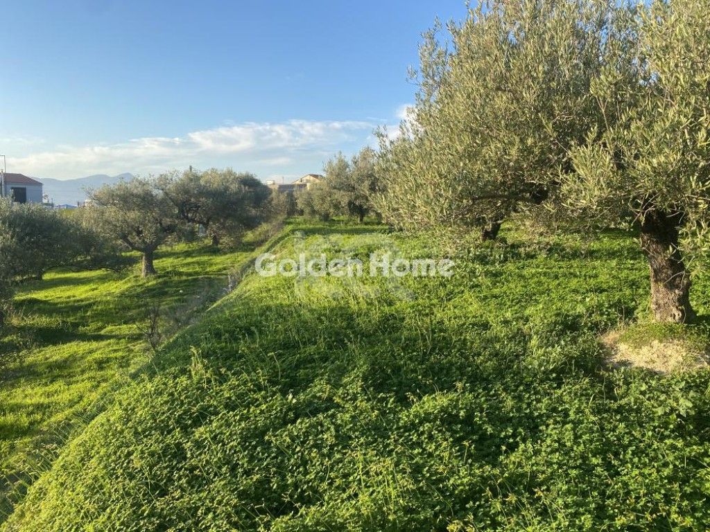 εικόνα αγγελίας