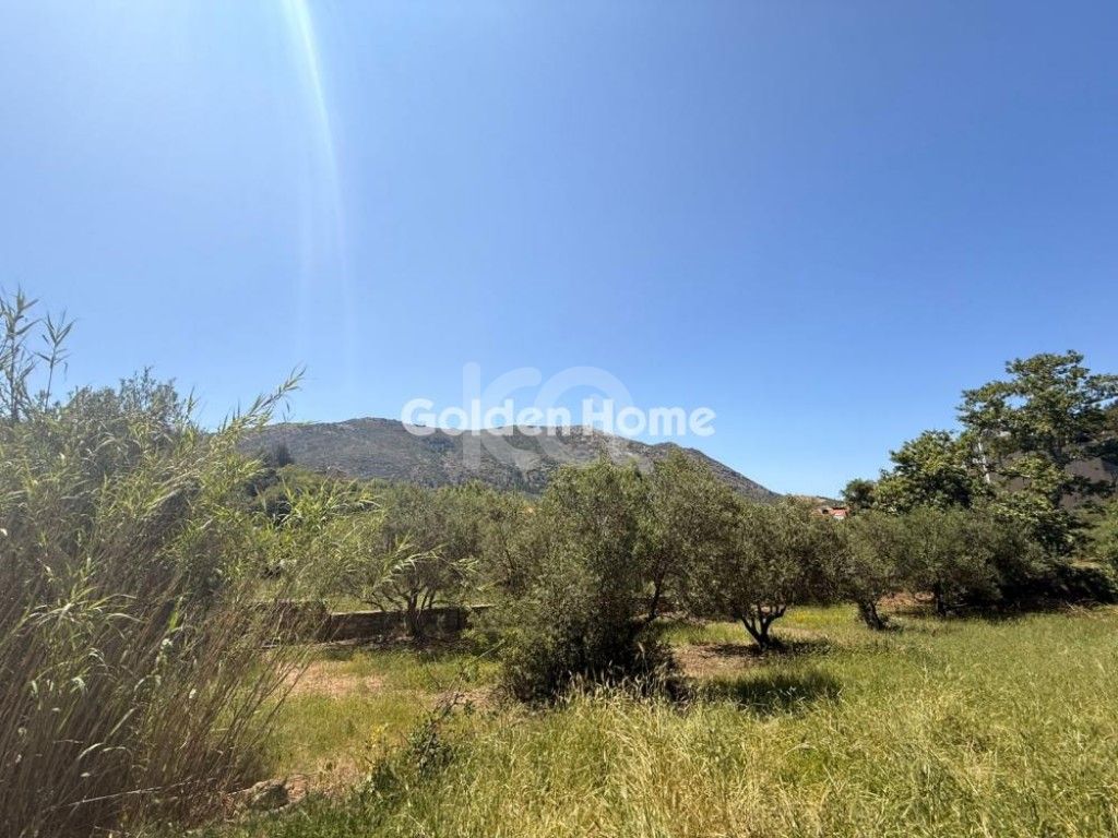 εικόνα αγγελίας