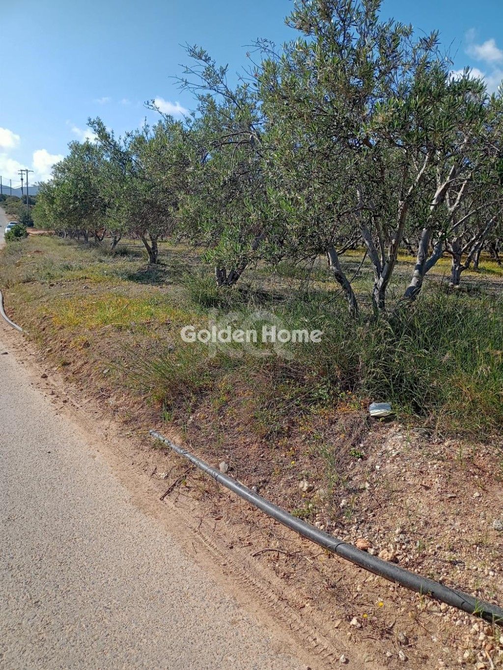 εικόνα αγγελίας