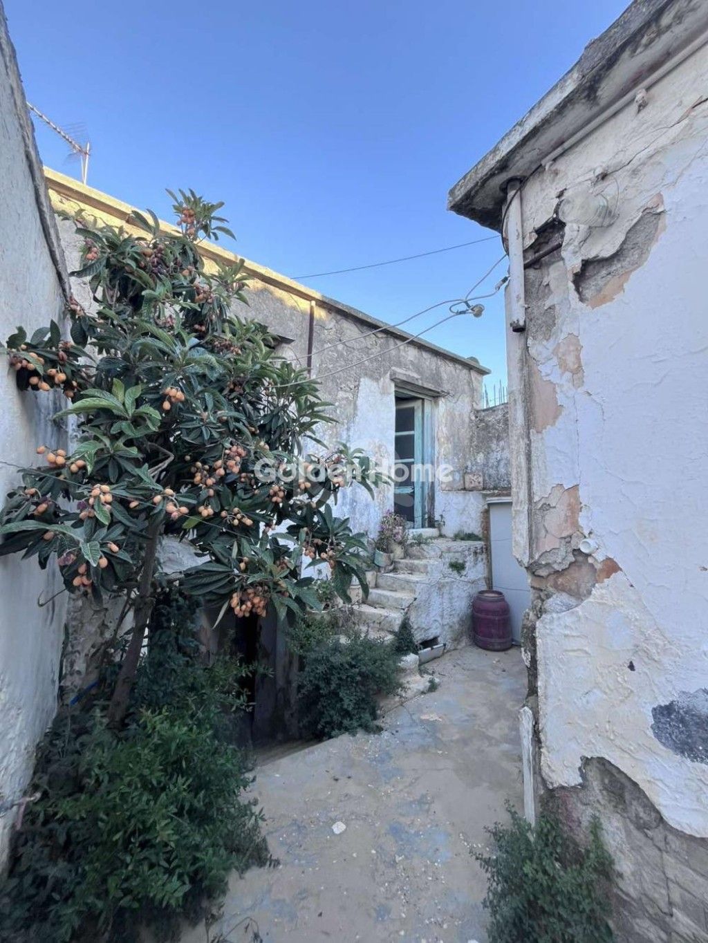 εικόνα αγγελίας