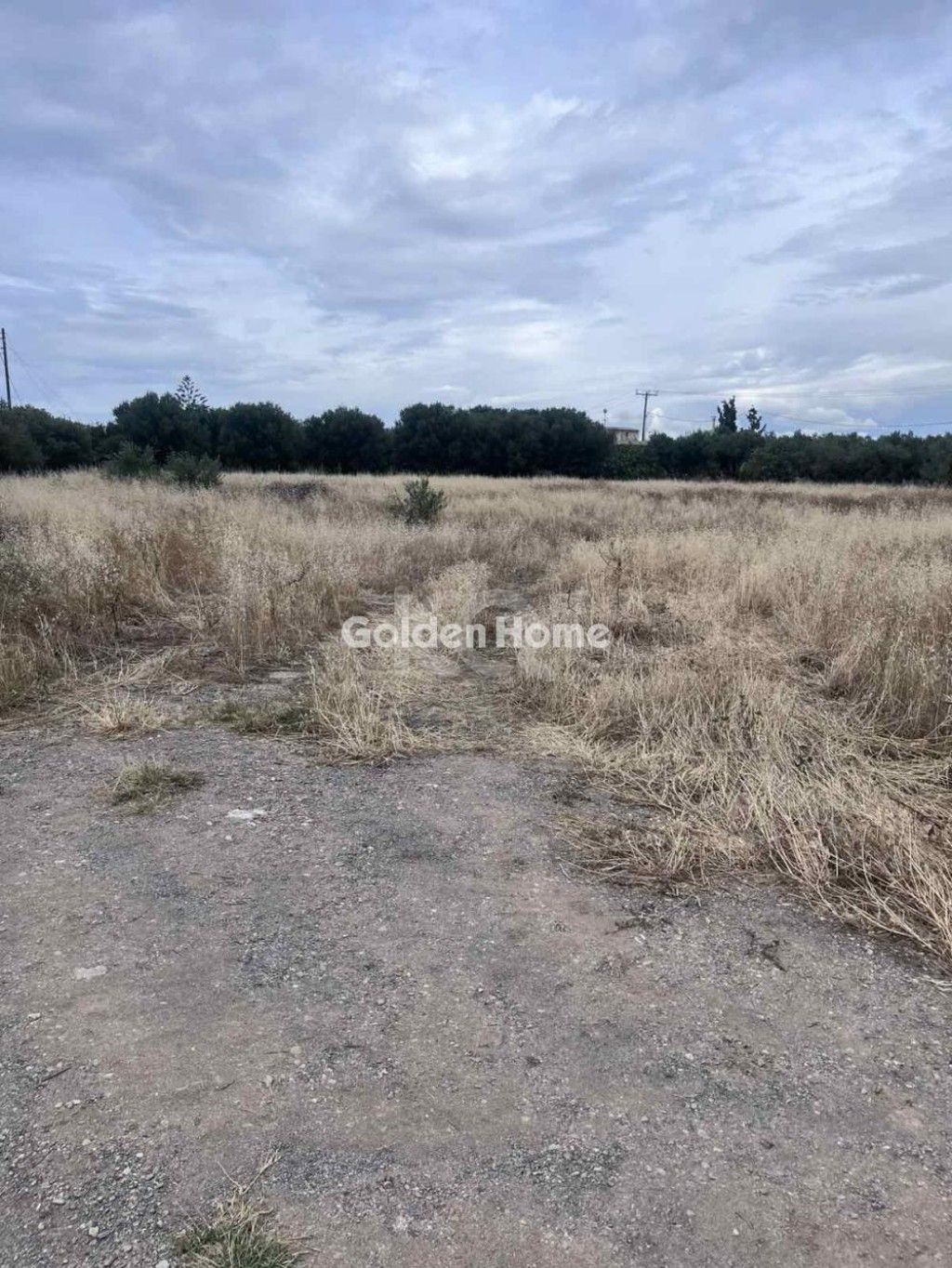 εικόνα αγγελίας