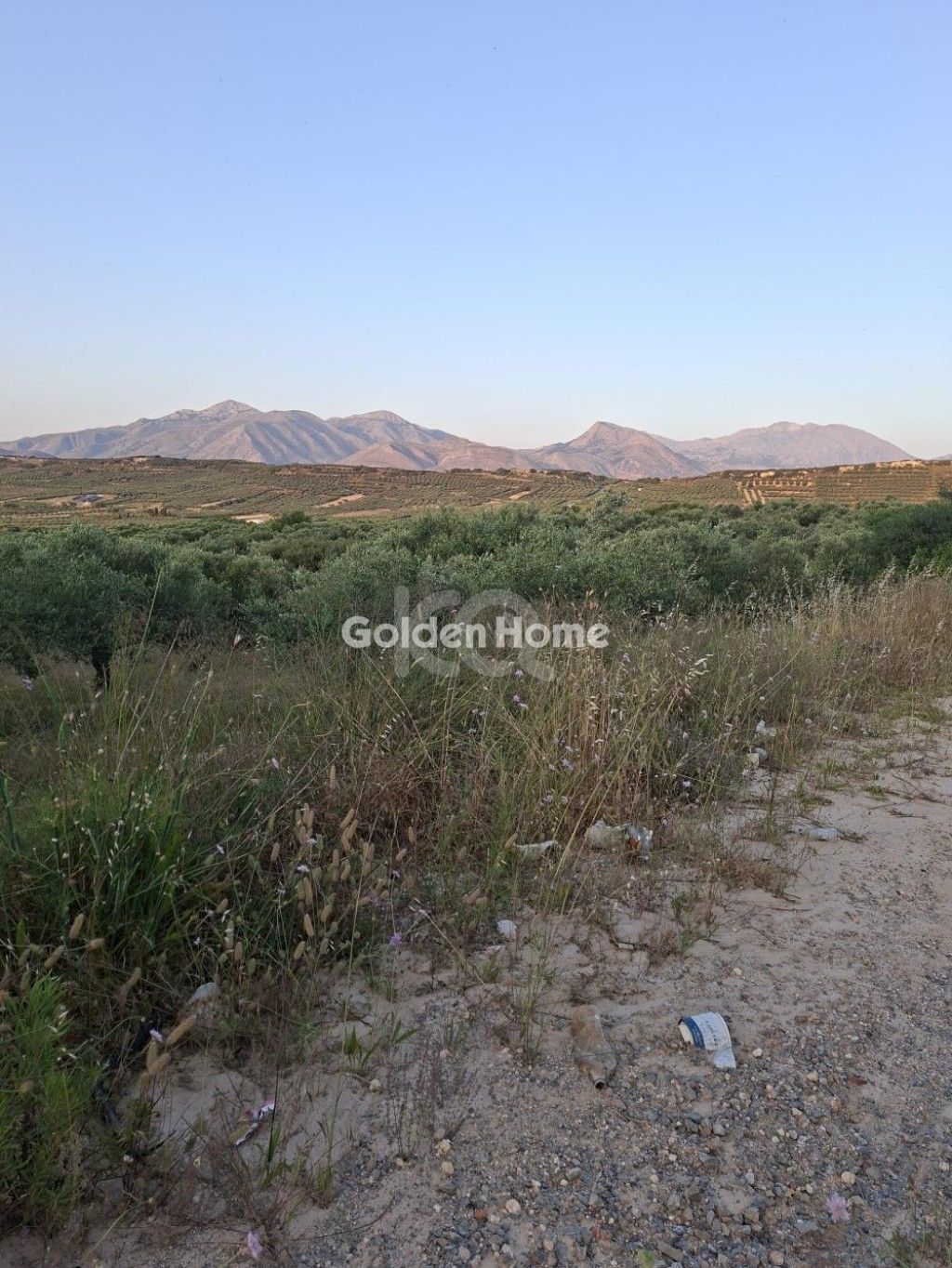 εικόνα αγγελίας