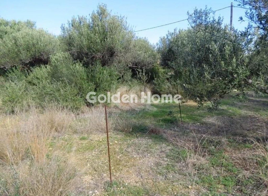 εικόνα αγγελίας