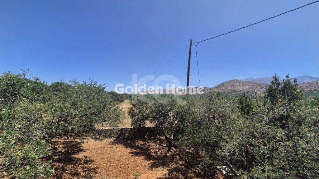 εικόνα αγγελίας