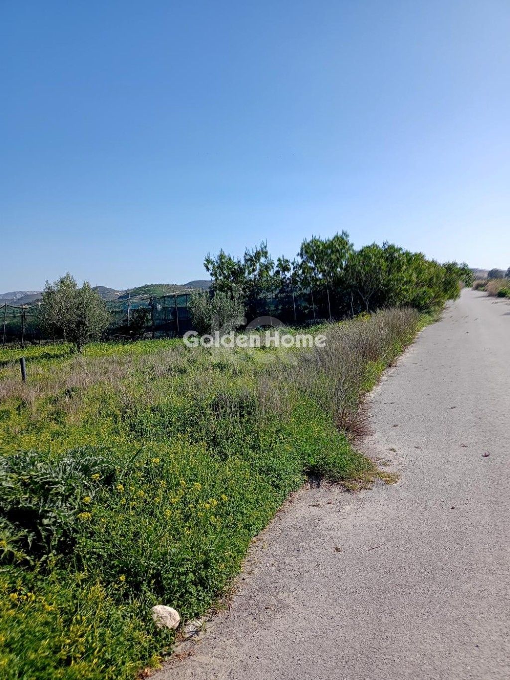 εικόνα αγγελίας