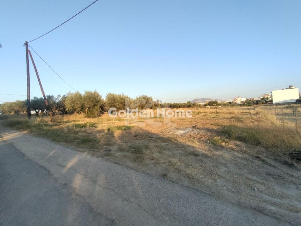 εικόνα αγγελίας