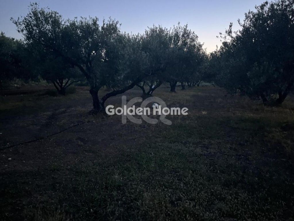 εικόνα αγγελίας