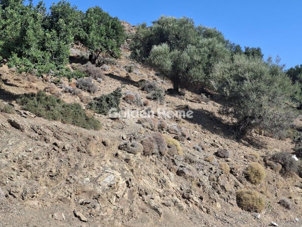 εικόνα αγγελίας