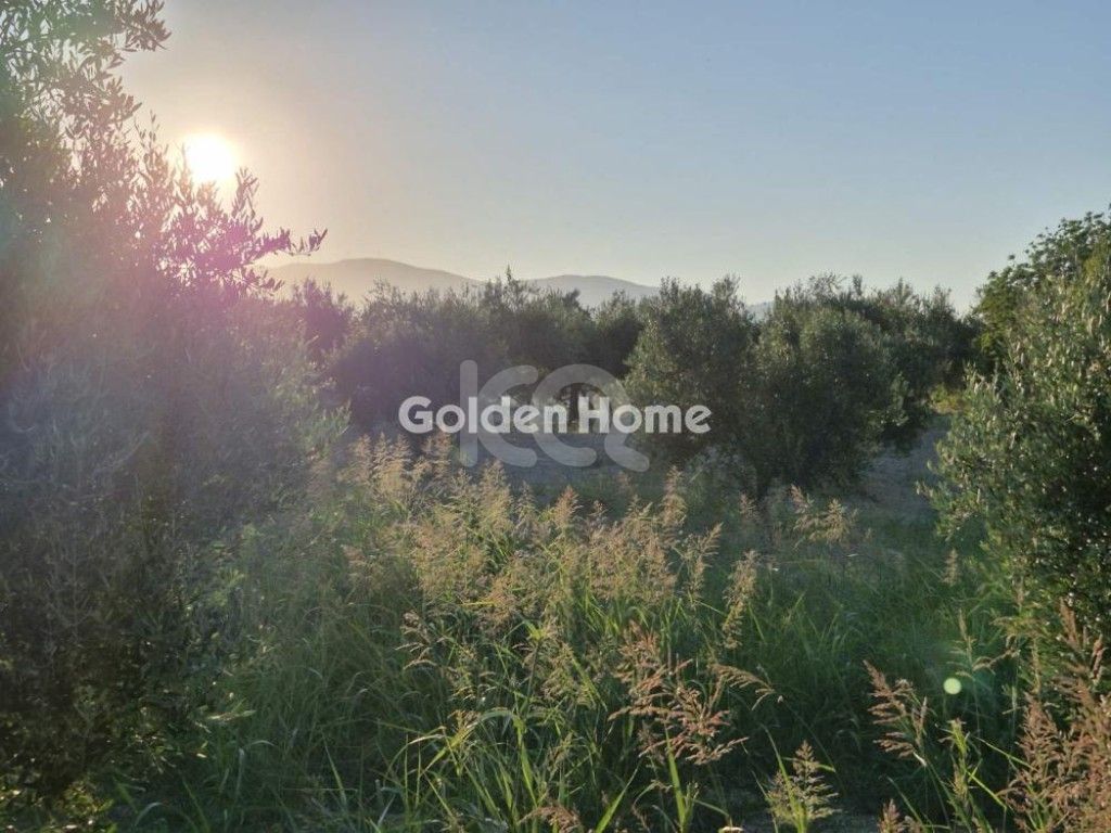 εικόνα αγγελίας