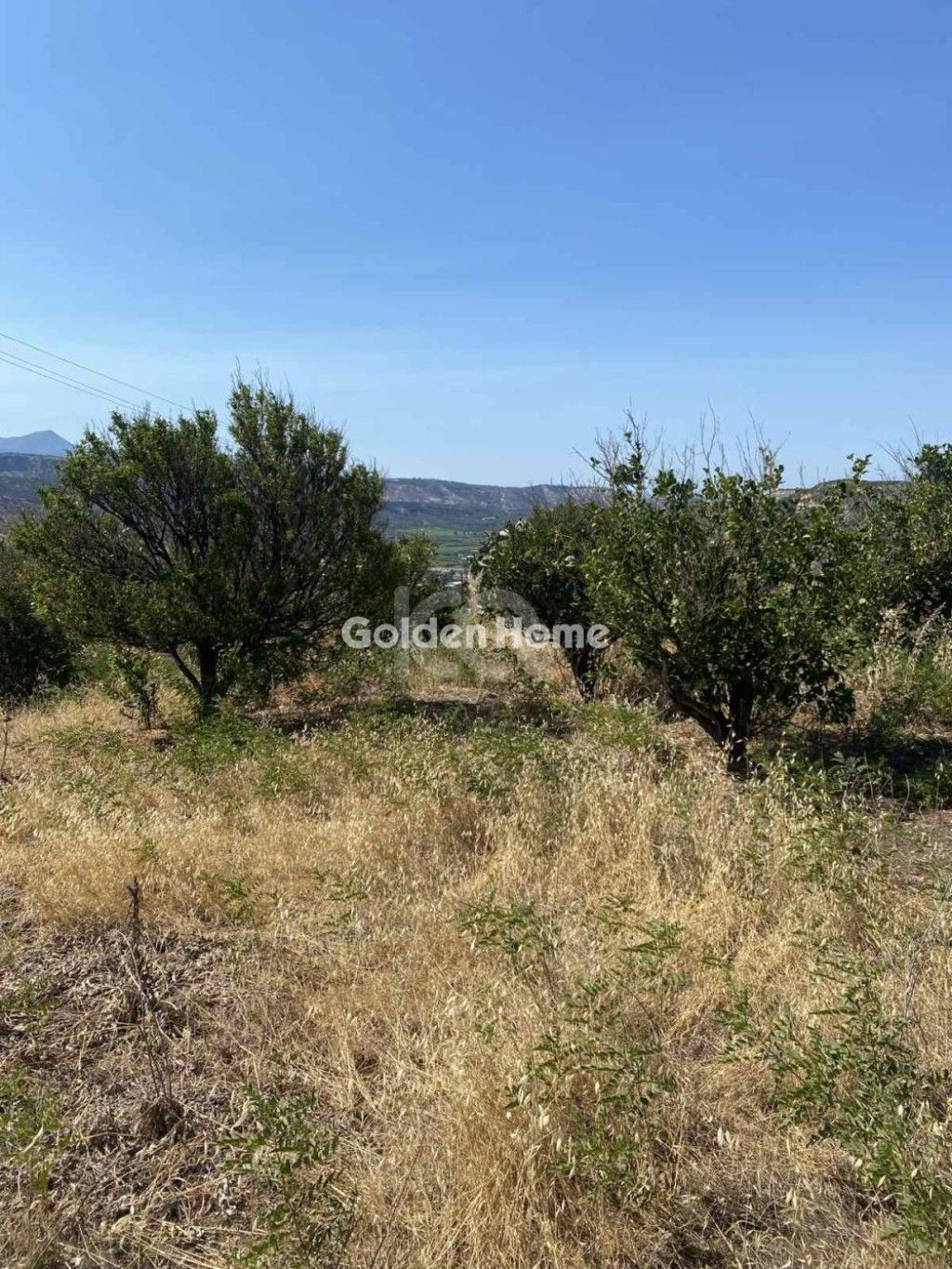 εικόνα αγγελίας